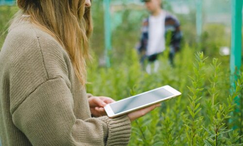 pexels-photo-5230957-5230957 Side view of crop anonymous female gardener using digital device for taking picture of green plants in glasshouse